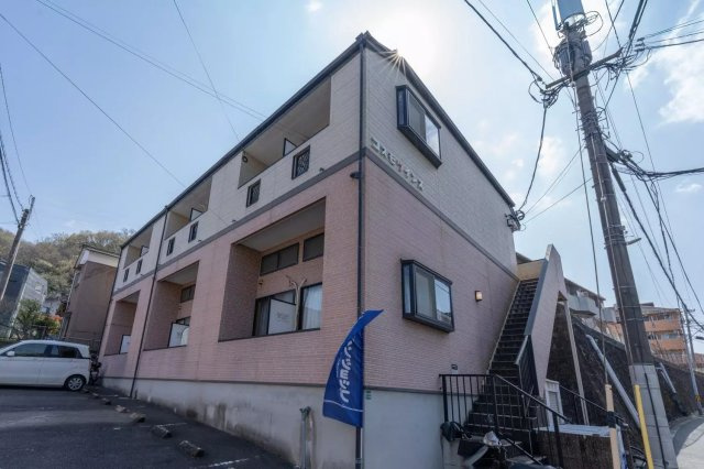 AP1158 コスモツィンズ 207の外観|




