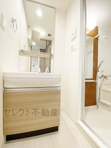 プレサンス錦ラウムの洗面所
