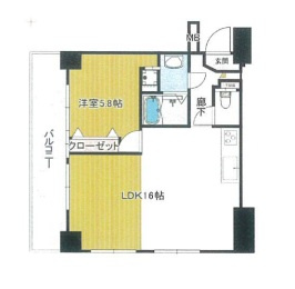 ヴェルト日本橋Ⅱの間取り|ヴェルト日本橋Ⅱ：北西向き角部屋！バス・トイレ別１ＬＤＫフルリノベーション物件は全居室収納・窓が付いております！