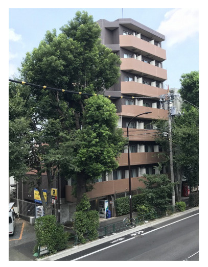 クレイシア世田谷野沢