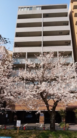 プレステージ榎町の画像