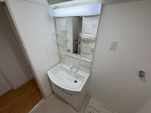 リバーサイドハイツの洗面所