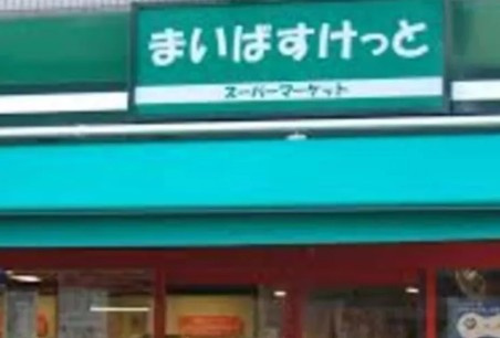 セジョリ新宿西落合の周辺