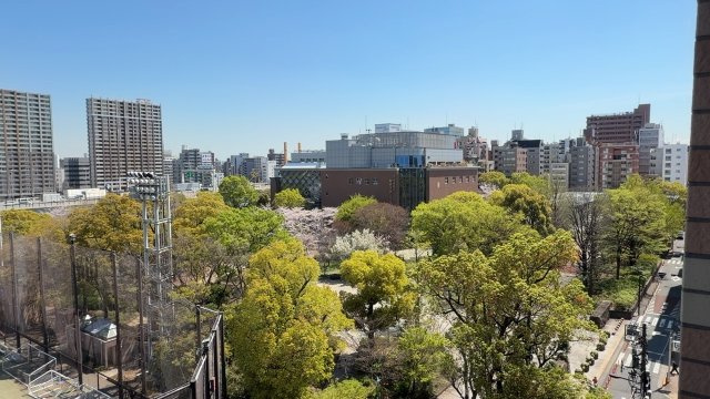 ファミール日本橋浜町公園（8階部分）／仲介手数料無料／新規フルリノベーションの展望