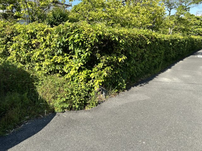 【前面道路含む現地写真】 | 茨木市宿久庄1丁目建築条件なし売り土地 | ■新規専属専任物件 ■茨木市宿久庄一丁目■土地面積５９５.０３平米（約１７９.９９坪）
■建築条件なし売土地■現状有姿渡し（古家があります。）■南向き・陽当たり・通風良好です
