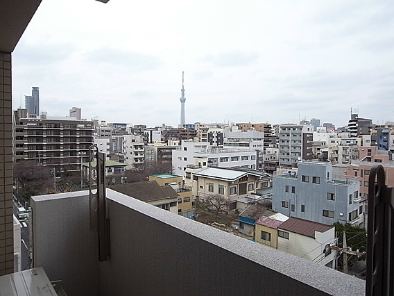 椿の展望