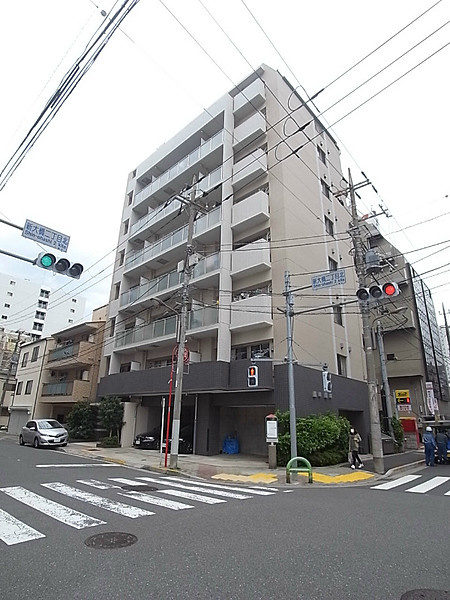 椿の外観