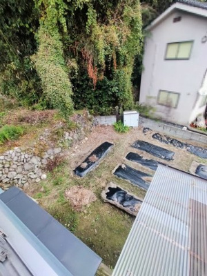 【庭】 | 広島市安芸区中野６丁目