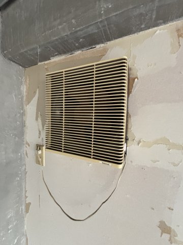 セント立花のその他