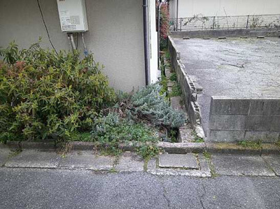【外観】 | 広島市安芸区船越１丁目