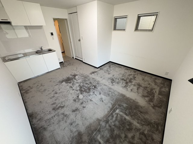 CASA Asteria Tenma2のその他