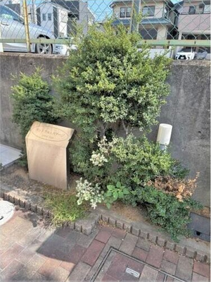 【その他】 | セントラル・ステージ