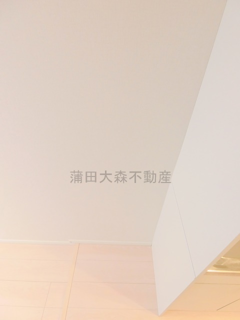 ステーションプラザ多摩川のキッチン|冷蔵庫置き場