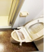 グリーンクロス西中延のトイレ