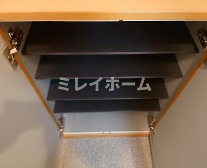 S・ソレイユの玄関|同建物内、別のお部屋の参考写真になります。