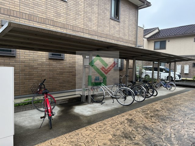 花水木Dのその他