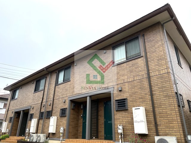 花水木D