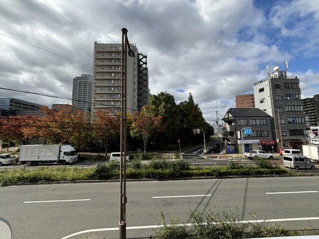 パトラ・Yの展望