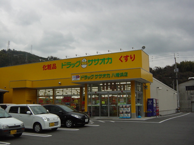 【周辺】 | シェルル江戸岡 | ドラックササオカまで300ｍ