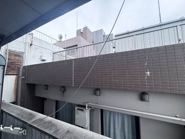 レディースアローズの展望