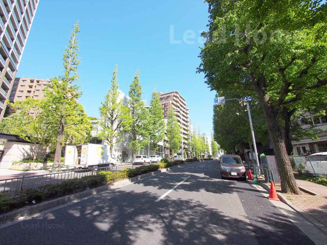 【その他】 | グランドメゾン白金の杜ザ・タワー | 前面道路
