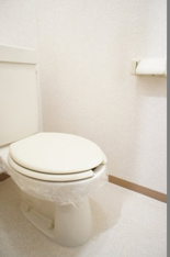 トイレも気になるポイント