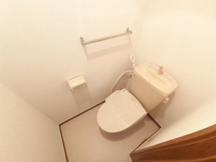 落ち着いた色調のトイレです