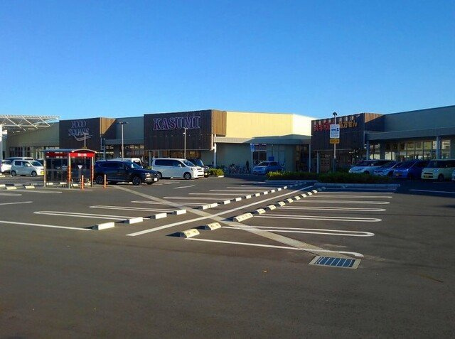カスミフードスクエア桶川坂田店まで1400m