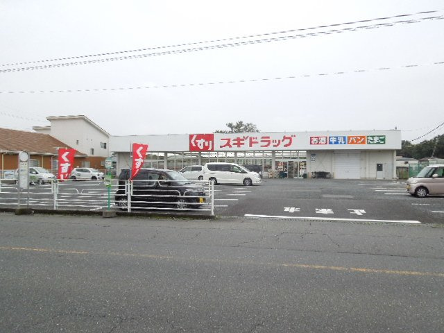 スギドラッグ上尾上店まで1100m