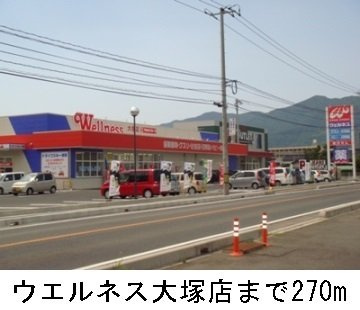 【周辺】 | メゾン・ル・レーヴＡ | ウエルネス大塚店まで270m