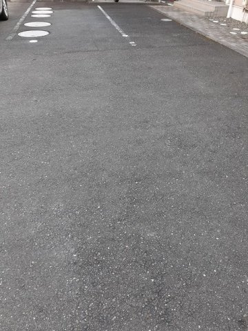 【駐車場】 | ラベンダー