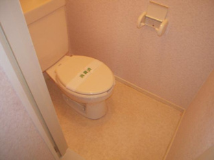コンパクトで使いやすいトイレです