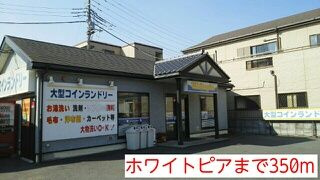 【その他】 | アネックス