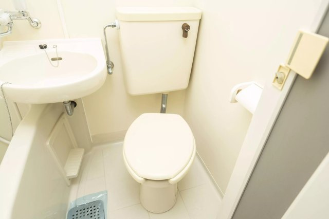 AP325 フォーシム三軒茶屋 208のトイレ|



