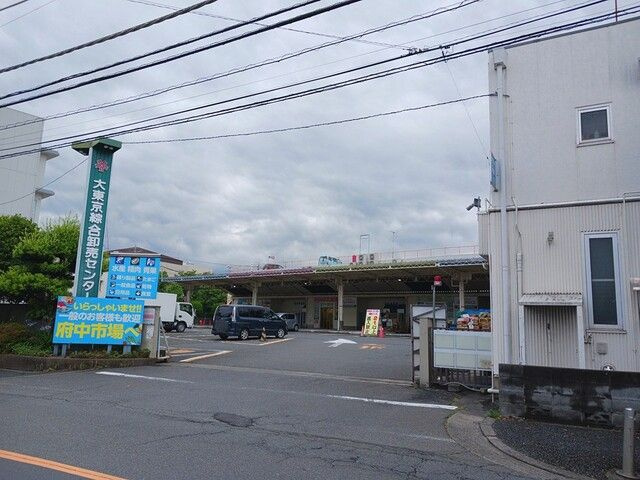 サザンコートのその他