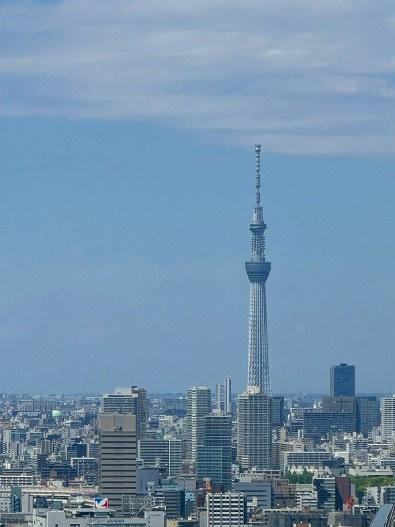 【展望】 | W Comfort Towers WEST