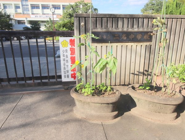 高雅苑の周辺|中学校「奈良市立二名中学校まで809m」