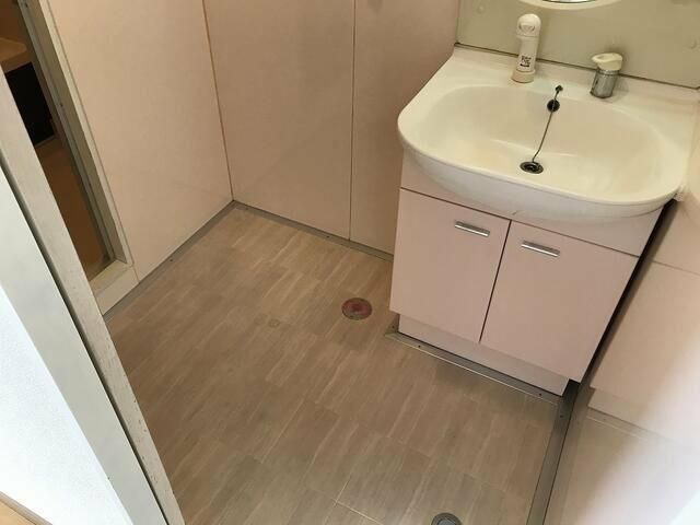 スカイハイツ上溝の洗面所