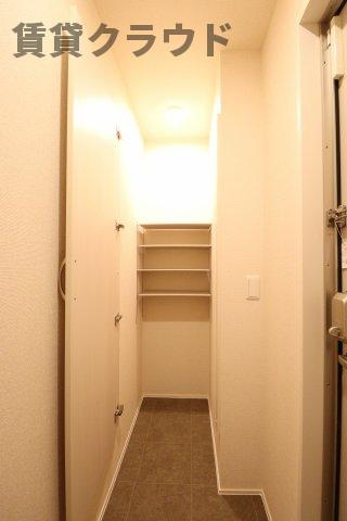 AALII（アアリイ）Ⅰの玄関|収納もある玄関です