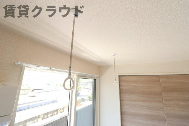 AALII（アアリイ）Ⅰのその他