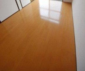 相模原市中央区上溝のアパートの居間・リビング