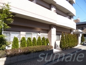 メゾン・ド・リュミエールのその他共用部分|敷地内に植栽がある物件です