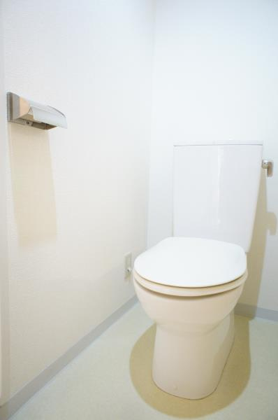 ヴィラージオ２１１のトイレ|落ち着いた色調のトイレです