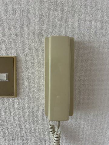 狛江市中和泉３丁目の賃貸マンションのセキュリティ