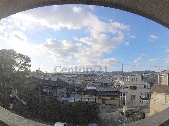 【展望】 | CASONA