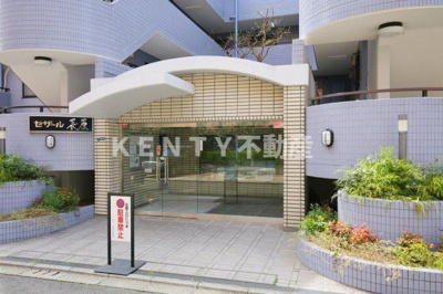 【エントランス】 | セザール長原 | 毎日通るエントランスはこのようになっています