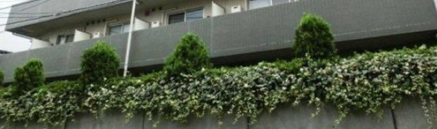 プレール高田馬場のエントランス