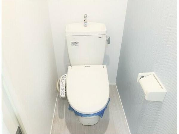 HS津金のトイレ|落ち着いた色調のトイレです