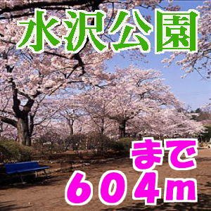 カーサエストの周辺|水沢公園まで604m