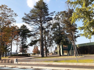 【周辺】 | プロムナード参番館 | 栃木県総合運動公園まで800m